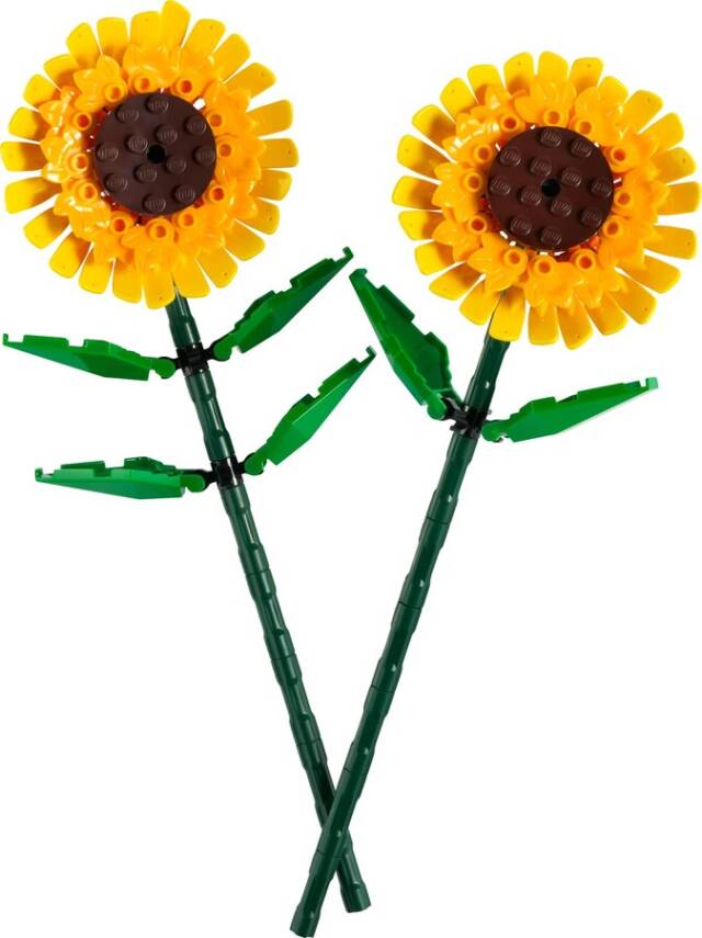 40524 LEGO Iconic Ayçiçeği - 2