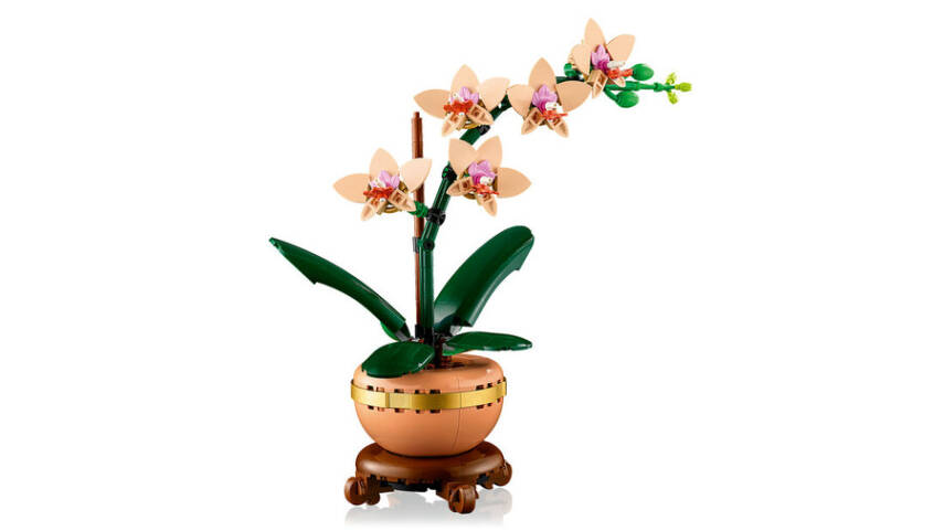 10343 LEGO® Botanicals Mini Orkide - 4