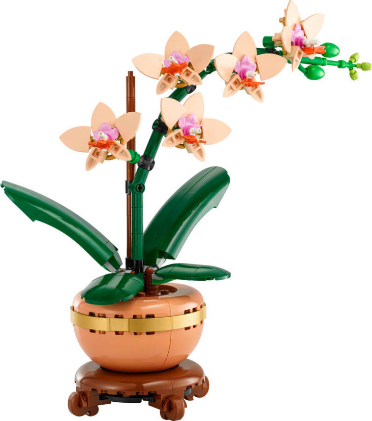 10343 LEGO® Botanicals Mini Orkide - 1