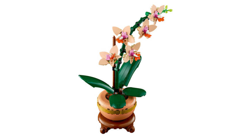 10343 LEGO® Botanicals Mini Orkide - 6