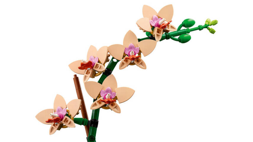 10343 LEGO® Botanicals Mini Orkide - 3