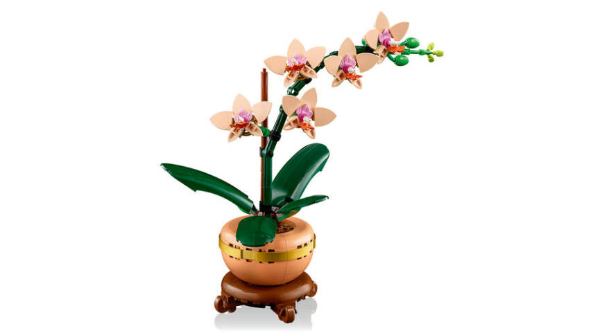 10343 LEGO® Botanicals Mini Orkide - 7