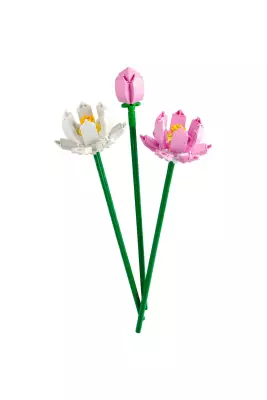 LEGO Flowers Iconic Lotus Çiçekleri 40647 - Dekoratif, Koleksiyonluk ve Sergilenebilir Çiçek Modeli Yapı - 6