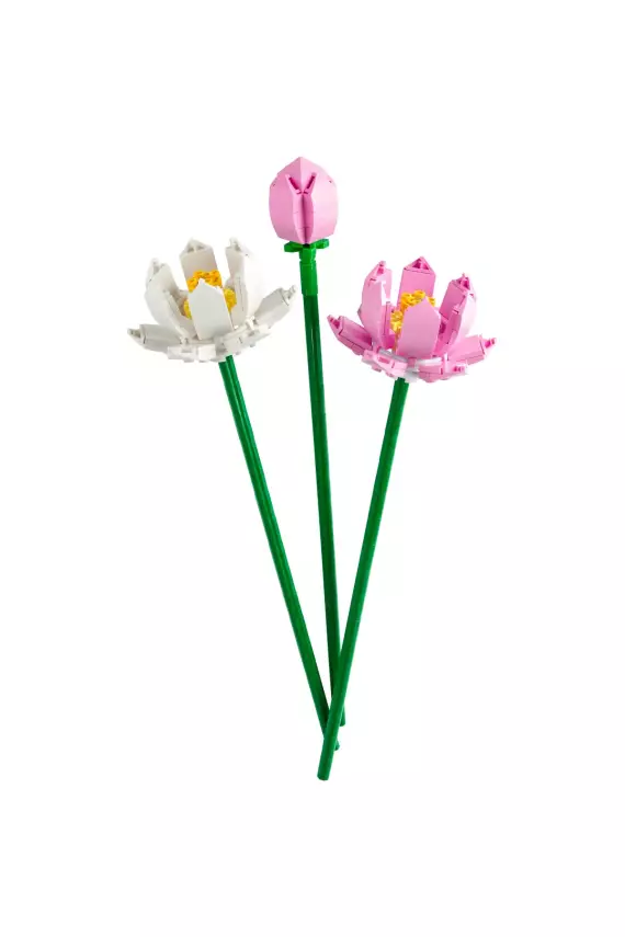 LEGO Flowers Iconic Lotus Çiçekleri 40647 - Dekoratif, Koleksiyonluk ve Sergilenebilir Çiçek Modeli Yapı - 6